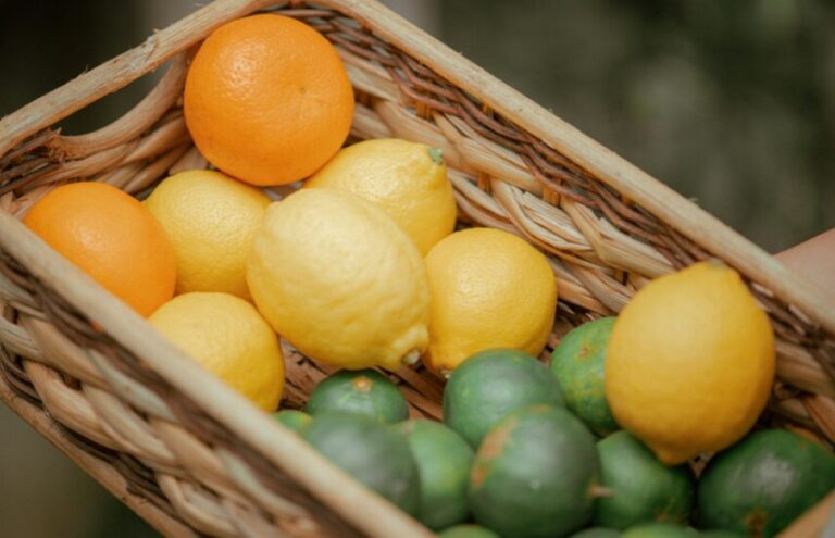 What Foods Speed Up Female Metabolism? | Bioma Health