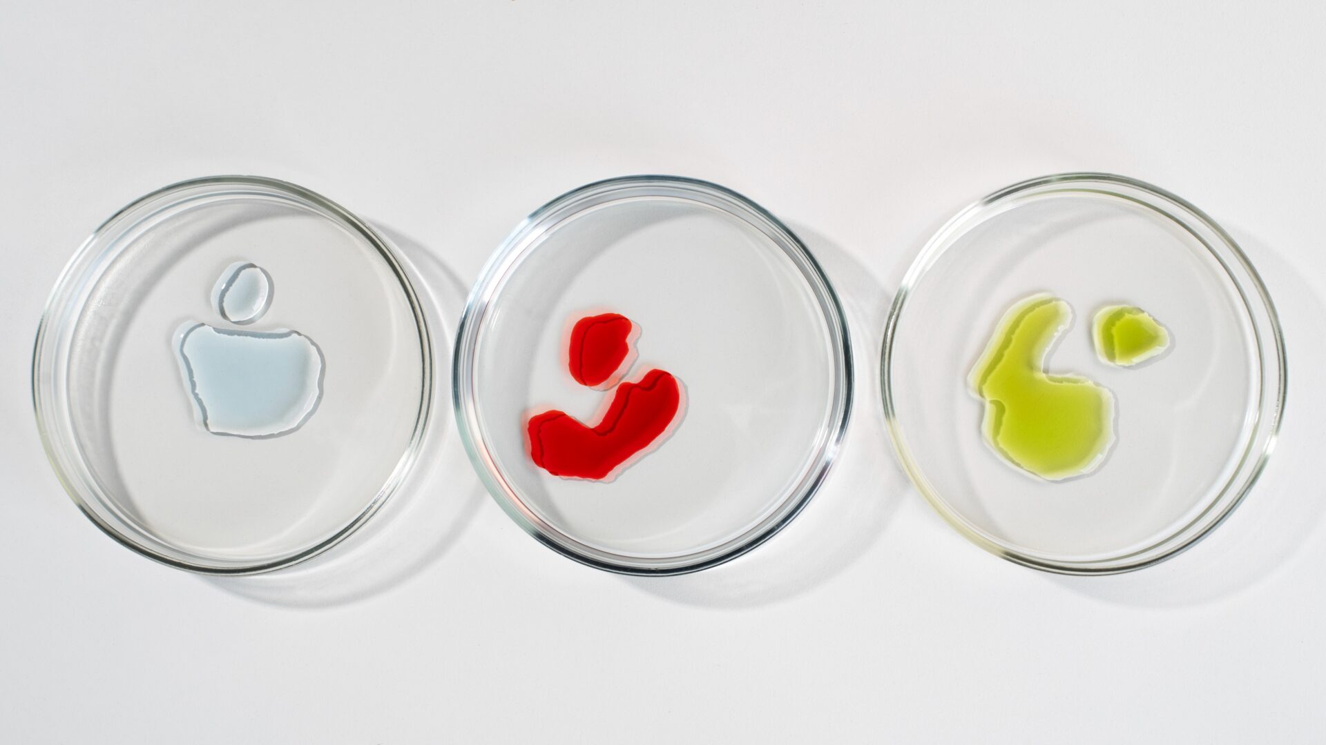 Gut Microbiome Testing: Do You Really Need One and What Can It Tell You ...