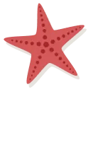 star decor