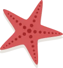 star decor